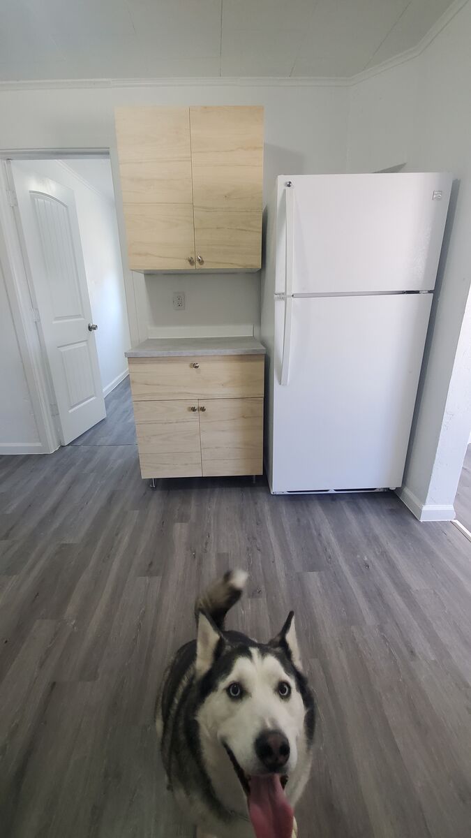 354 4th Ave Apt 1 - Photo 4